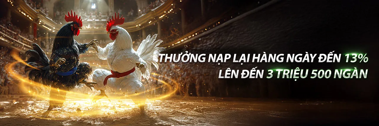 Sân chơi đá gà eu9 chính thức